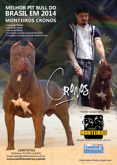 telefone da pit bull